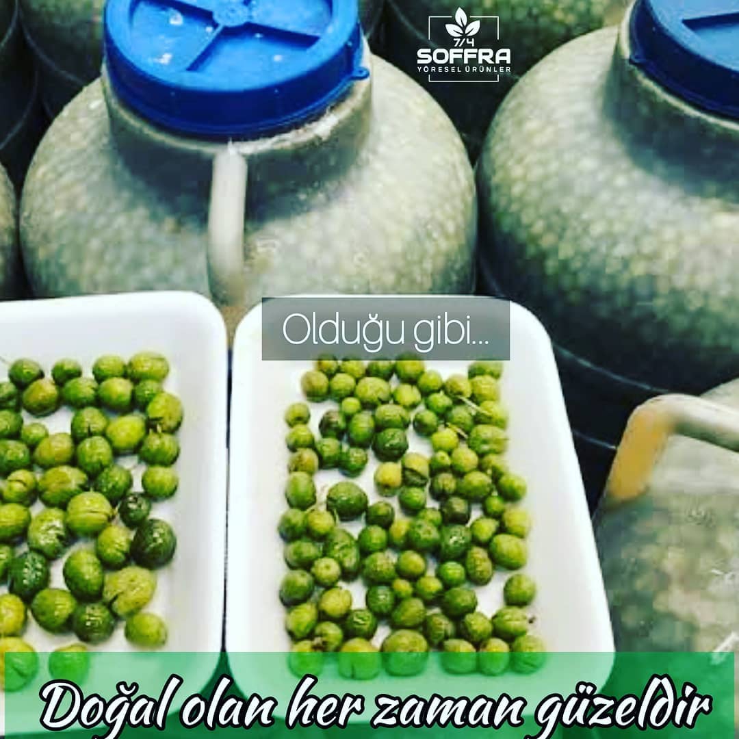 Ulak Karma Zeytin (Olduğu Gibi)